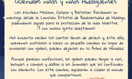 Mensaje Especial de los Reyes Magos para las Niñas y Niños de Hidalgo