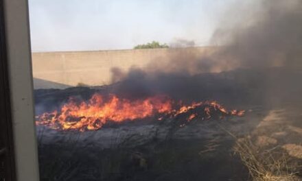 Protección Civil y Bomberos de Tula de Allende atiende diversos reportes de incendio
