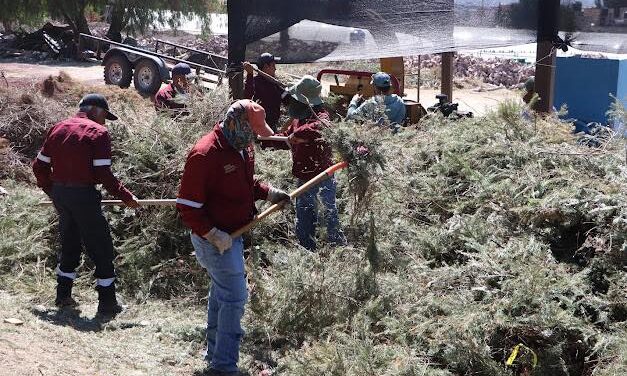 Ponen en marcha la campaña «Regrésalo a la Tierra: Cierra el ciclo»