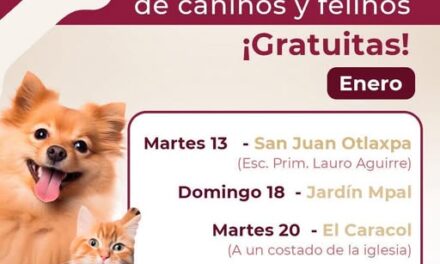Habrá campaña de esterilización canina y felina gratuita en San Juan Otlaxpa.