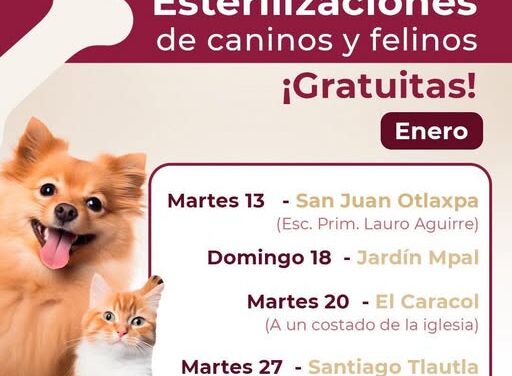 Habrá campaña de esterilización canina y felina gratuita en San Juan Otlaxpa.
