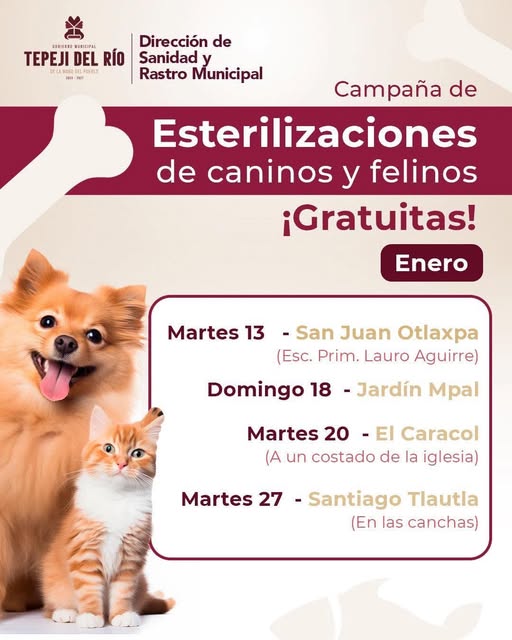Habrá campaña de esterilización canina y felina gratuita en San Juan Otlaxpa.