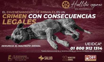 El envenenamiento de animales es un crimen y tiene consecuencias legales graves