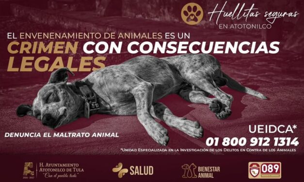 El envenenamiento de animales es un crimen y tiene consecuencias legales graves