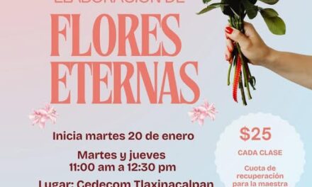 DIF Tepeji invita al Taller de elaboración de flores eternas