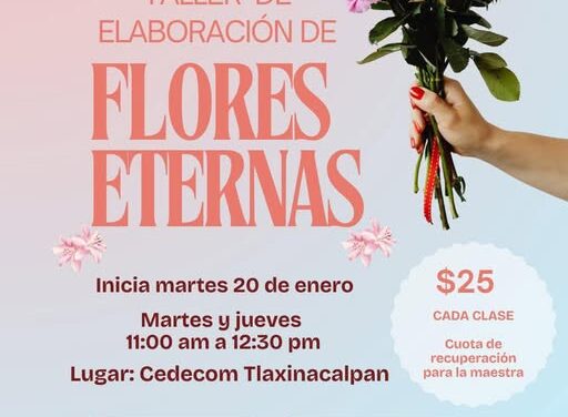 DIF Tepeji invita al Taller de elaboración de flores eternas