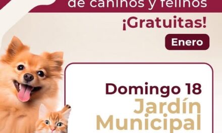 Habrá campaña de esterilización gratuita canina y felina en el Jardín Municipal de Tepeji del Río