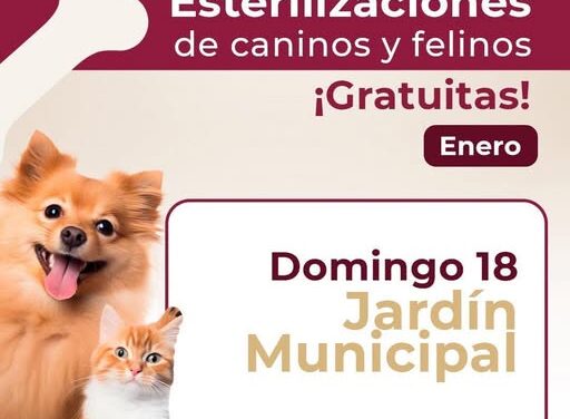 Habrá campaña de esterilización gratuita canina y felina en el Jardín Municipal de Tepeji del Río