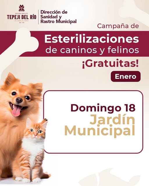 Habrá campaña de esterilización gratuita canina y felina en el Jardín Municipal de Tepeji del Río