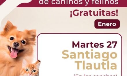Mañana martes habrá campaña de esterilización canina y felina en Santiago Tlautla