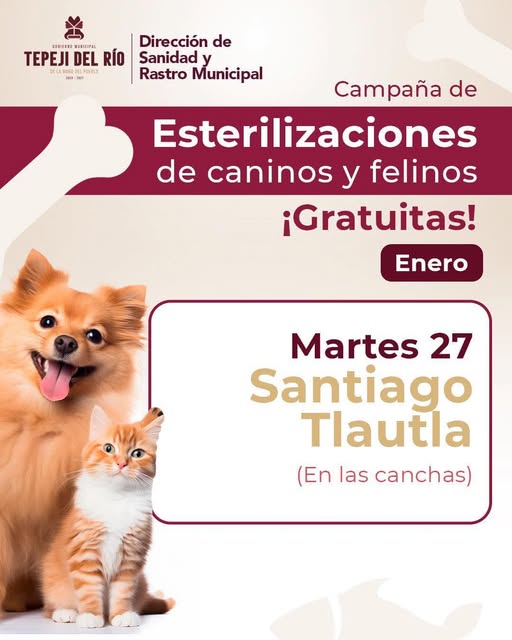 Mañana martes habrá campaña de esterilización canina y felina en Santiago Tlautla