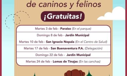 Conoce las fechas y lugares donde habrá campaña de esterilzación canina y felina durante el mes de febrero en Tepeji