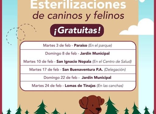 Conoce las fechas y lugares donde habrá campaña de esterilzación canina y felina durante el mes de febrero en Tepeji