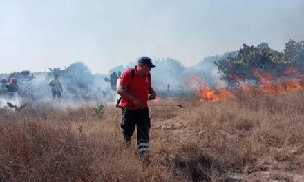 Bomberos de Tepeji sofocan incendio de pastizales