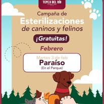 Habrá campaña de esterilización canina y felina gratuita en Tepeji