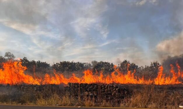 Bomberos de Tula atienden incendio de pastizales en Xochitlán de las Flores