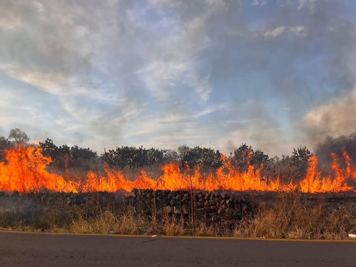 Bomberos de Tula atienden incendio de pastizales en Xochitlán de las Flores