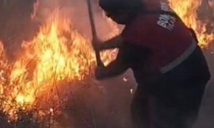 Concluyen labores de sofocación de incendio en Xochitán de las Flores