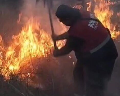 Concluyen labores de sofocación de incendio en Xochitán de las Flores
