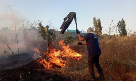Bomberos de Tepeji atienden tres reportes de pastos secos