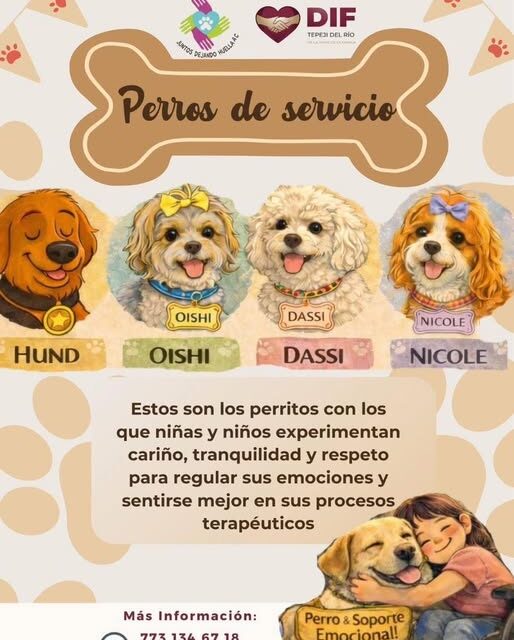 Perros de Servicio dan acompañamiento para que niñas y niños puedan regular sus emociones