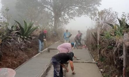 Abierta la convocatoria del programa “Construye tu Camino” 2026