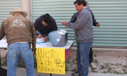 Se llevó a cabo una jornada de esterilización canina y felina en Atotonilco de Tula