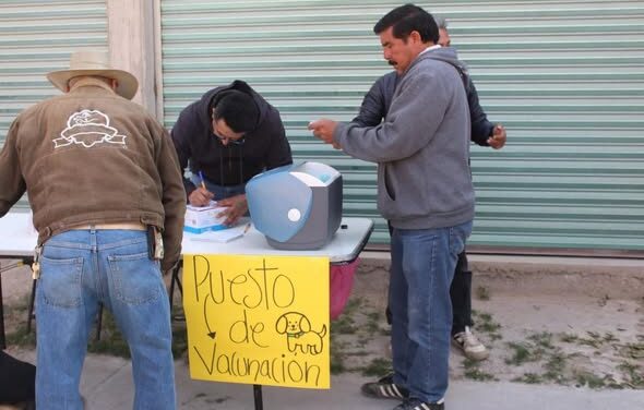 Se llevó a cabo una jornada de esterilización canina y felina en Atotonilco de Tula