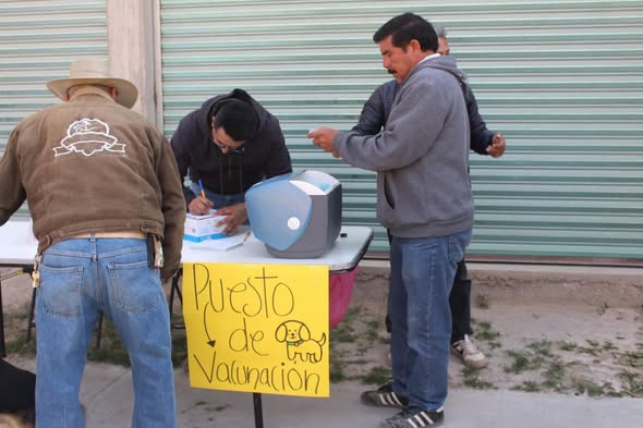 Se llevó a cabo una jornada de esterilización canina y felina en Atotonilco de Tula