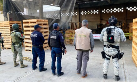 En operativo, Profepa clausura 3 madererías en Tula de Allende