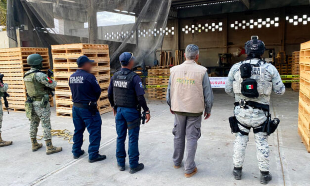 En operativo, Profepa clausura 3 madererías en Tula de Allende