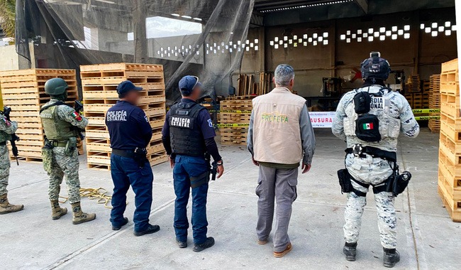 En operativo, Profepa clausura 3 madererías en Tula de Allende