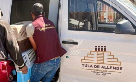 Gobierno deTula de Allende rescata a caninos tras denuncia de presunto maltrato animal
