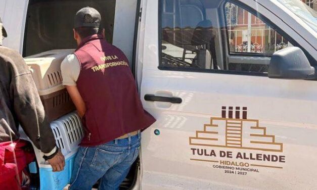 Gobierno deTula de Allende rescata a caninos tras denuncia de presunto maltrato animal