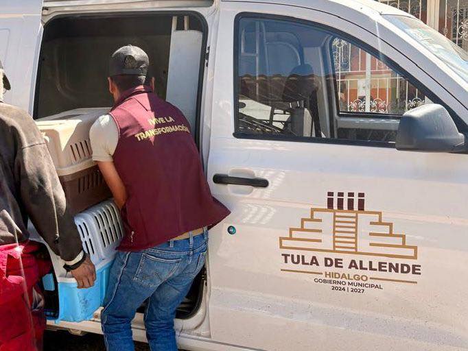 Gobierno deTula de Allende rescata a caninos tras denuncia de presunto maltrato animal