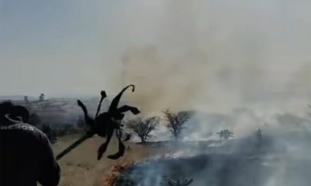 Bomberos de Tula atienden reporte de incendio de pastizal en Bomintzhá