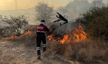 Bomberos de Tula atienden diversos reportes de incendios
