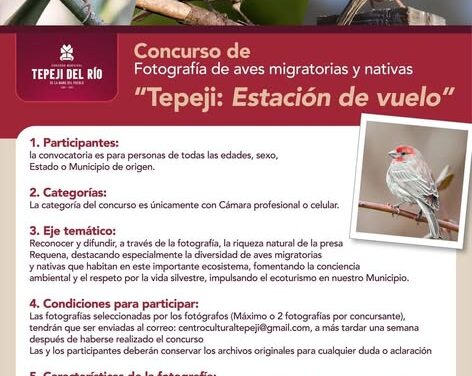 El Gobierno Municipal Tepeji del Río te invita a participar en el concurso de Fotografía «Tepeji: Estación de vuelo»