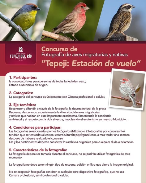 El Gobierno Municipal Tepeji del Río te invita a participar en el concurso de Fotografía «Tepeji: Estación de vuelo»