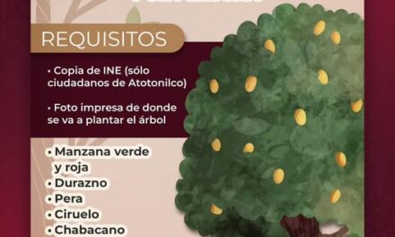 Realizan Jornada de Donación de Árboles Frutales en Atotonilco de Tula