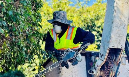 En el gobierno municipal de Tula de Allende seguimos trabajando por una ciudad más limpia, segura y ordenada