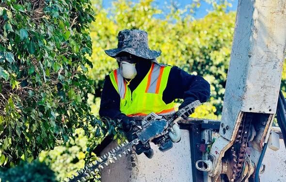 En el gobierno municipal de Tula de Allende seguimos trabajando por una ciudad más limpia, segura y ordenada