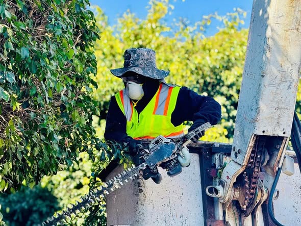 En el gobierno municipal de Tula de Allende seguimos trabajando por una ciudad más limpia, segura y ordenada
