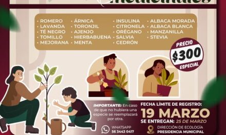 Invitan a adquirir plantas aromáticas y medicinales en Atotonilco de Tula