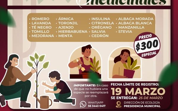 Invitan a adquirir plantas aromáticas y medicinales en Atotonilco de Tula