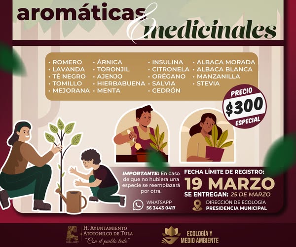 Invitan a adquirir plantas aromáticas y medicinales en Atotonilco de Tula
