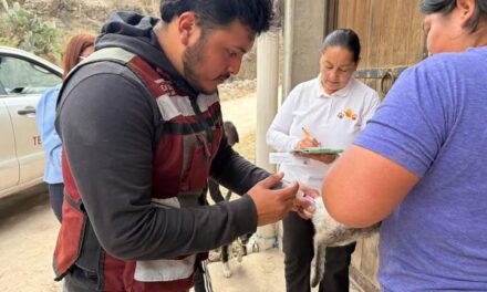 Impulsan acciones de prevención en materia de salud animal en Tepeji del Río