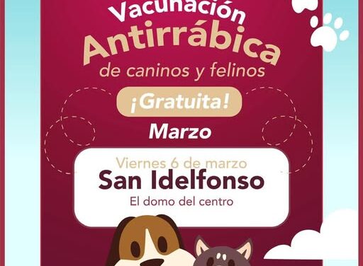 Este 6 de marzo habrá vacunación atirrábica en San Ildefonso