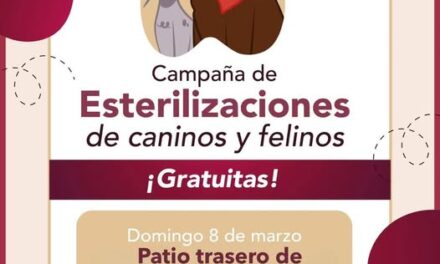 Habrá Campaña de esterilización canina y felina en Tepeji del Río