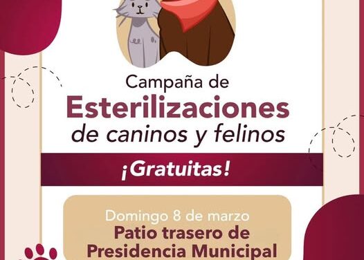 Habrá Campaña de esterilización canina y felina en Tepeji del Río